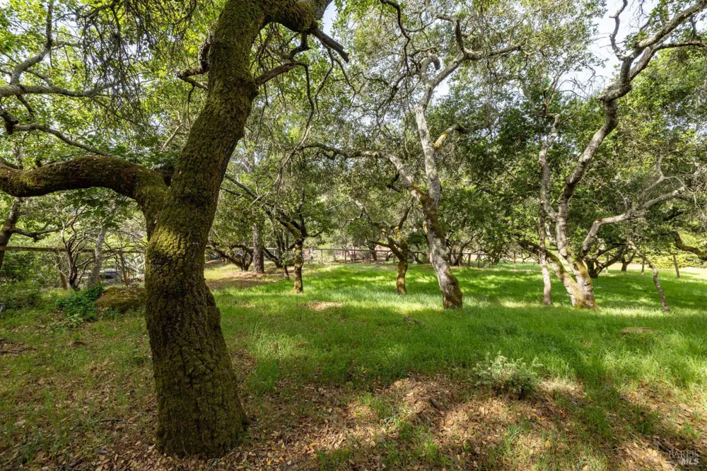 Rim Rock Way Santa Rosa, CA 95404
