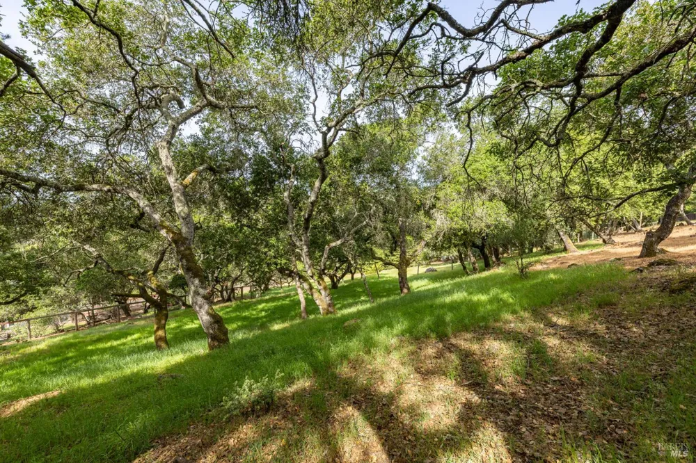 Rim Rock Way Santa Rosa, CA 95404