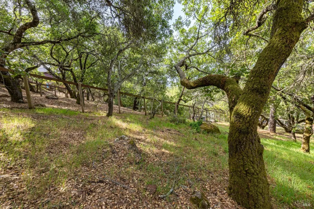Rim Rock Way Santa Rosa, CA 95404