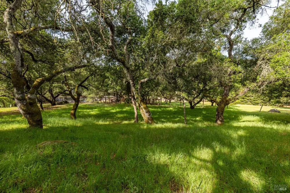 Rim Rock Way Santa Rosa, CA 95404