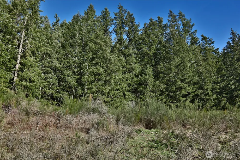 0 XXX SR 525 ROAD Langley, WA 98260
