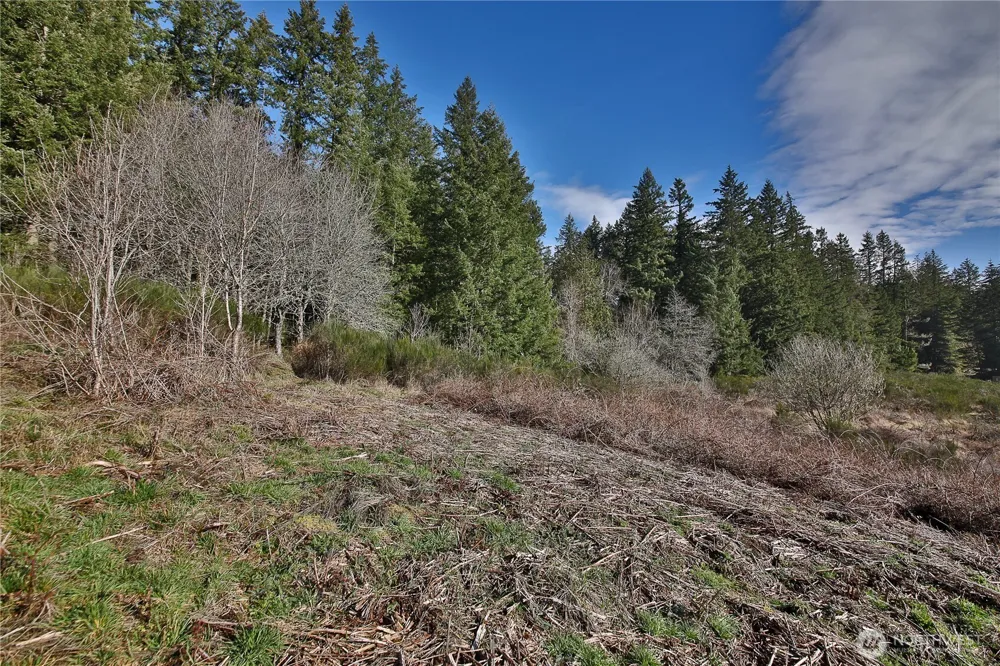 0 XXX SR 525 ROAD Langley, WA 98260