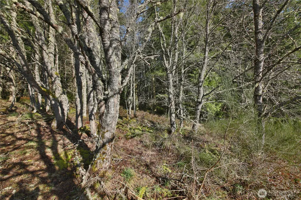 0 XXX SR 525 ROAD Langley, WA 98260