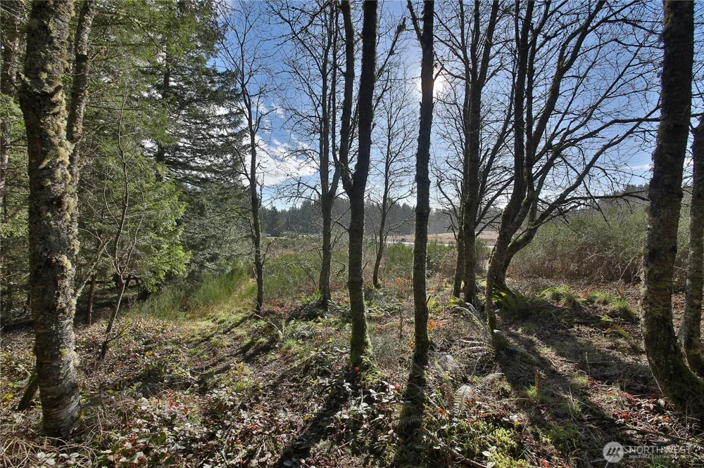 0 XXX SR 525 ROAD Langley, WA 98260