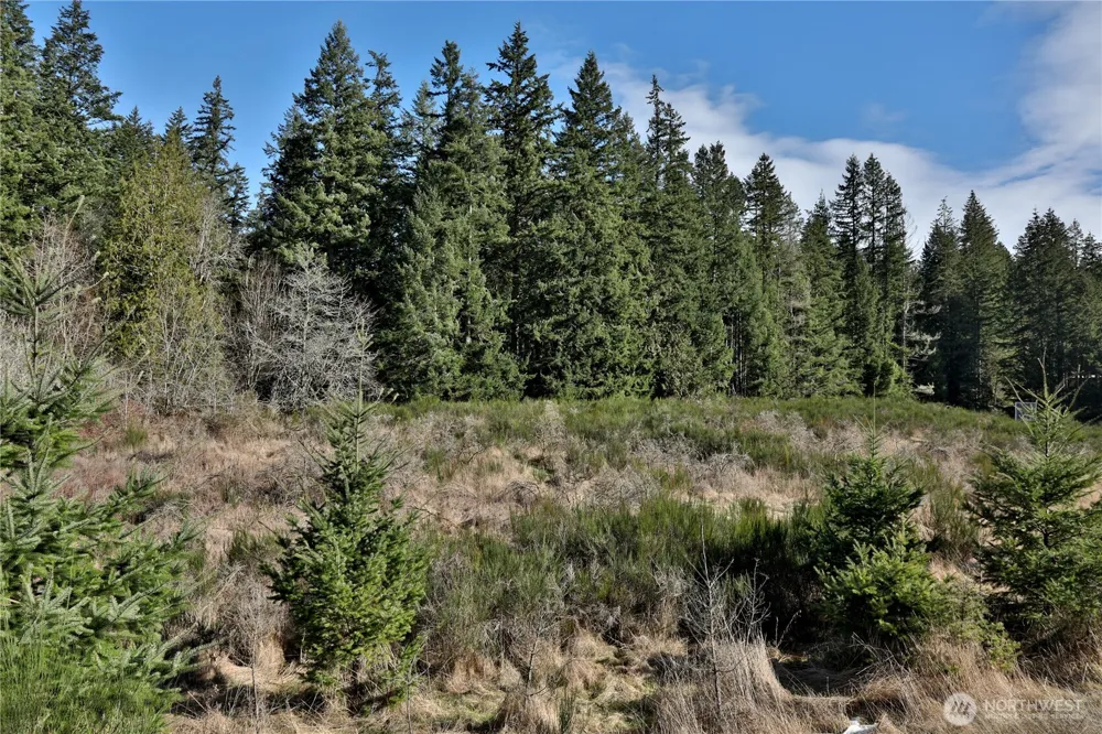 0 XXX SR 525 ROAD Langley, WA 98260