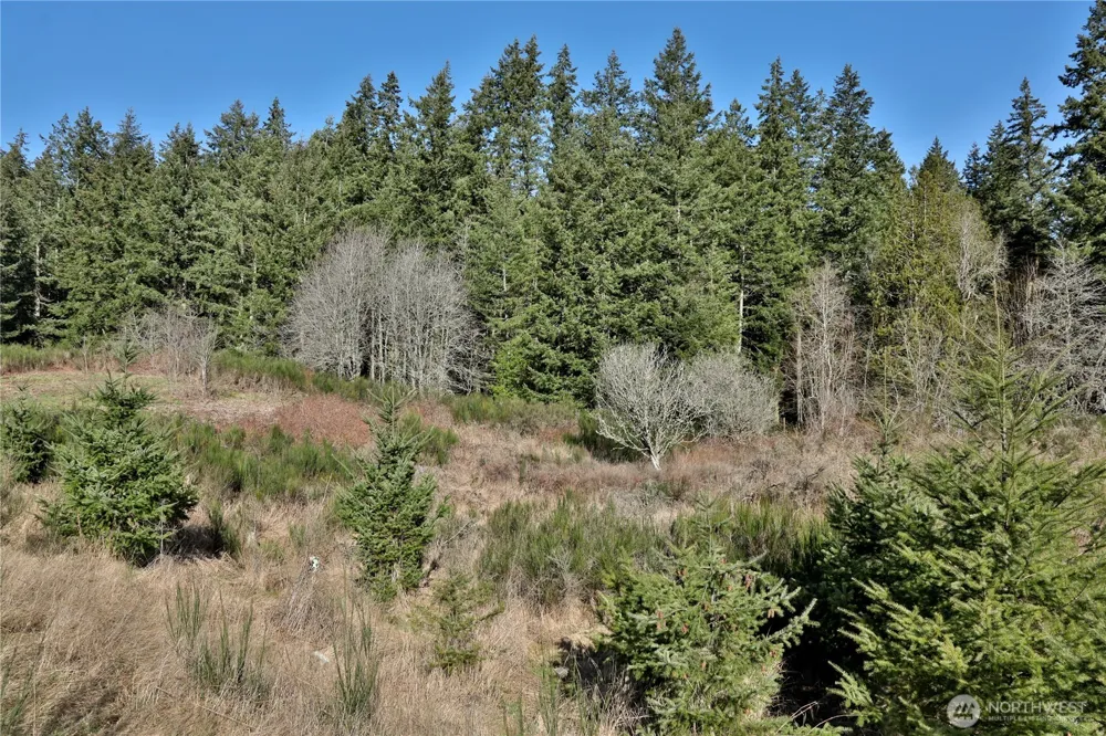 0 XXX SR 525 ROAD Langley, WA 98260