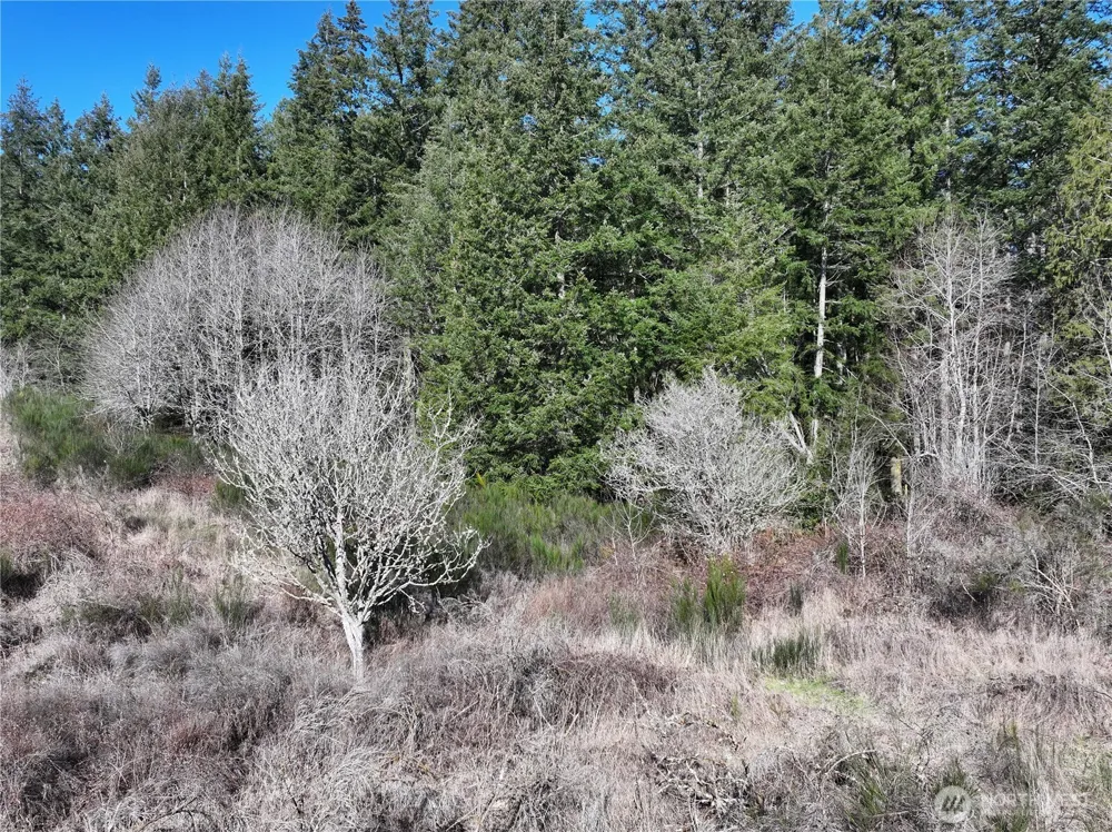 0 XXX SR 525 ROAD Langley, WA 98260