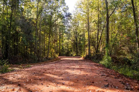 Bolin Long Creek Road