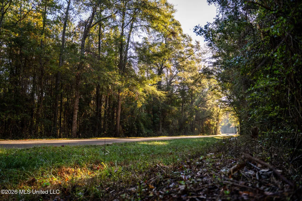Sandflat Road Meridian, MS 39301