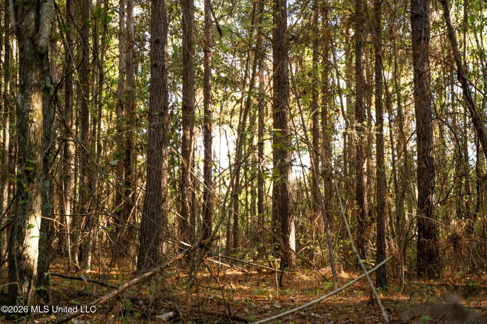 Sandflat Road Meridian, MS 39301