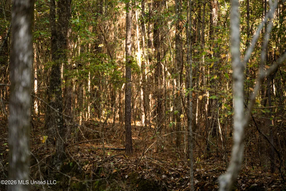 Sandflat Road Meridian, MS 39301