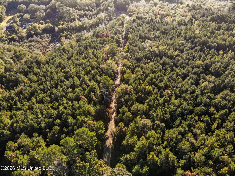Sandflat Road Meridian, MS 39301
