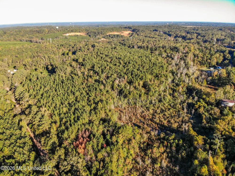 Sandflat Road Meridian, MS 39301