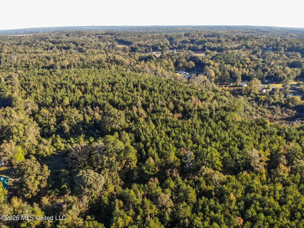 Sandflat Road Meridian, MS 39301