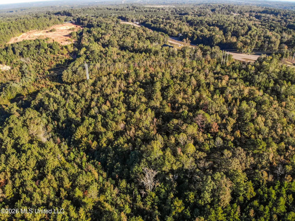 Sandflat Road Meridian, MS 39301
