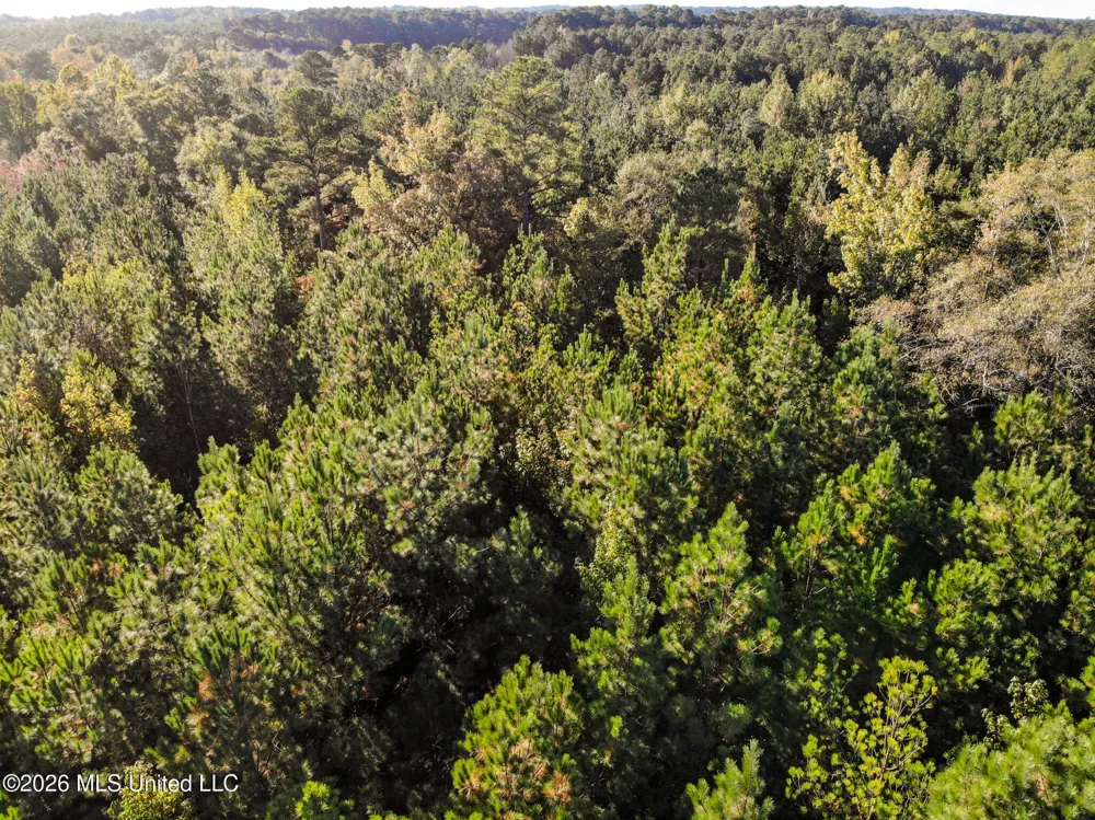 Sandflat Road Meridian, MS 39301