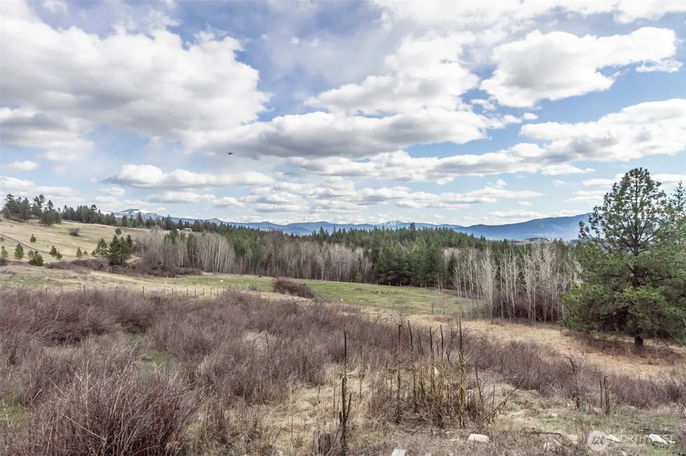 817 Dominion Springs Way Colville, WA 99114