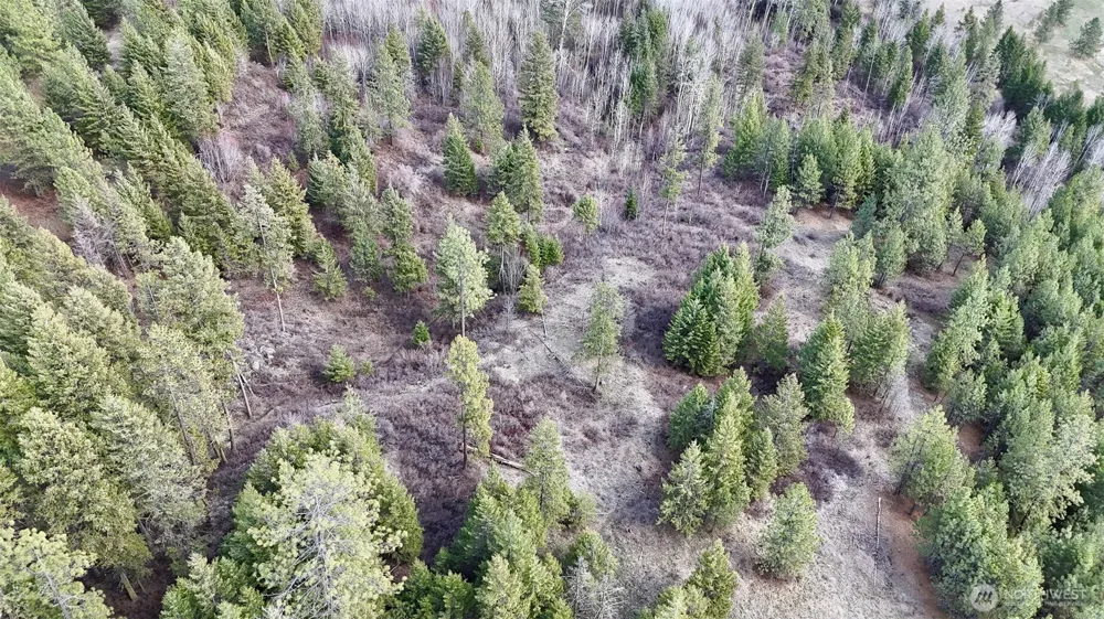 817 Dominion Springs Way Colville, WA 99114