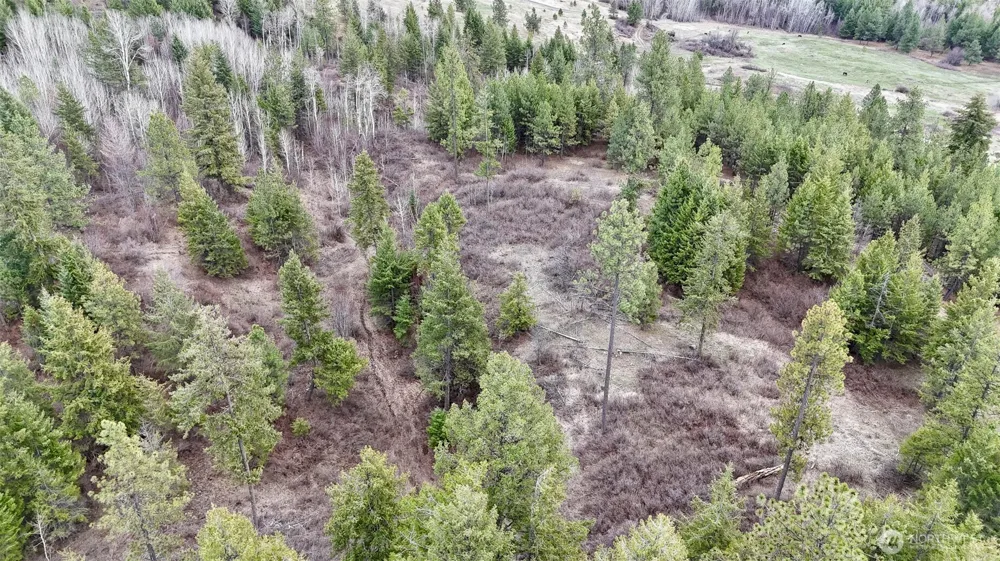 817 Dominion Springs Way Colville, WA 99114