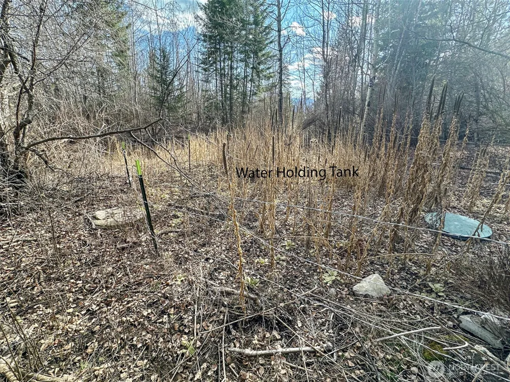 817 Dominion Springs Way Colville, WA 99114