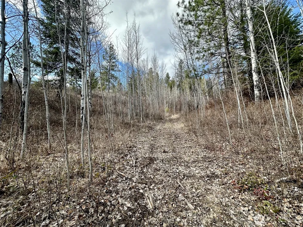 817 Dominion Springs Way Colville, WA 99114