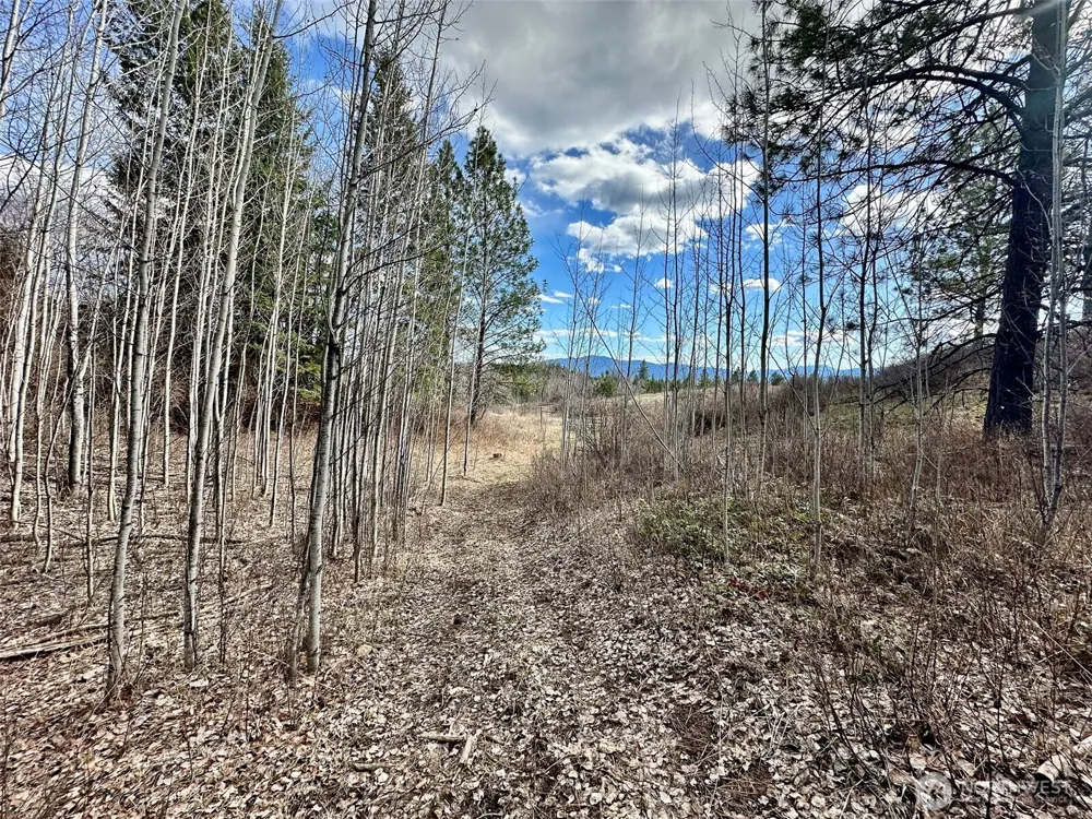 817 Dominion Springs Way Colville, WA 99114