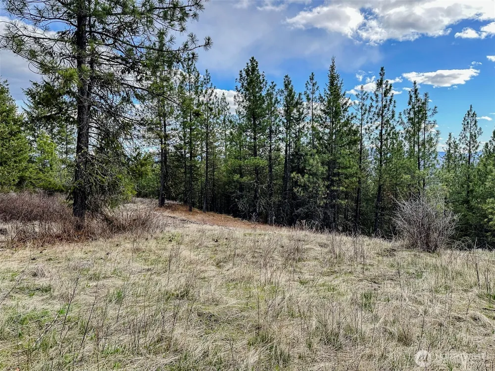 817 Dominion Springs Way Colville, WA 99114
