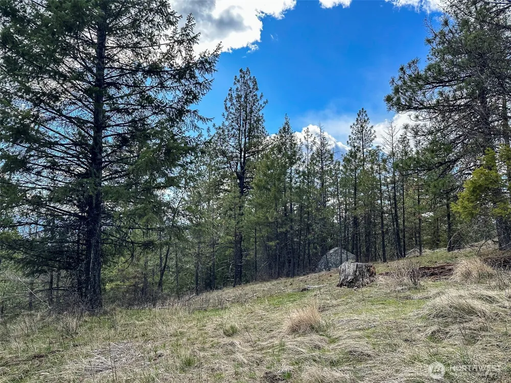 817 Dominion Springs Way Colville, WA 99114
