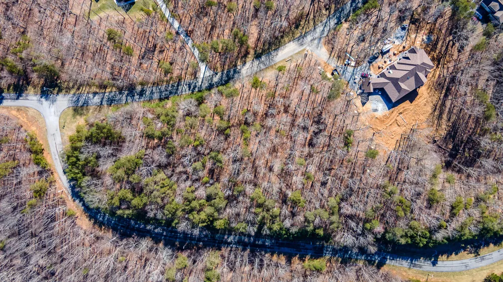 Shivas Crest Rising Fawn, GA 30738