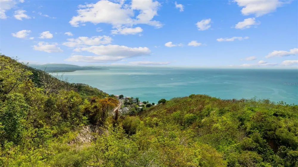 ROAD 115 Anasco, PR 00610