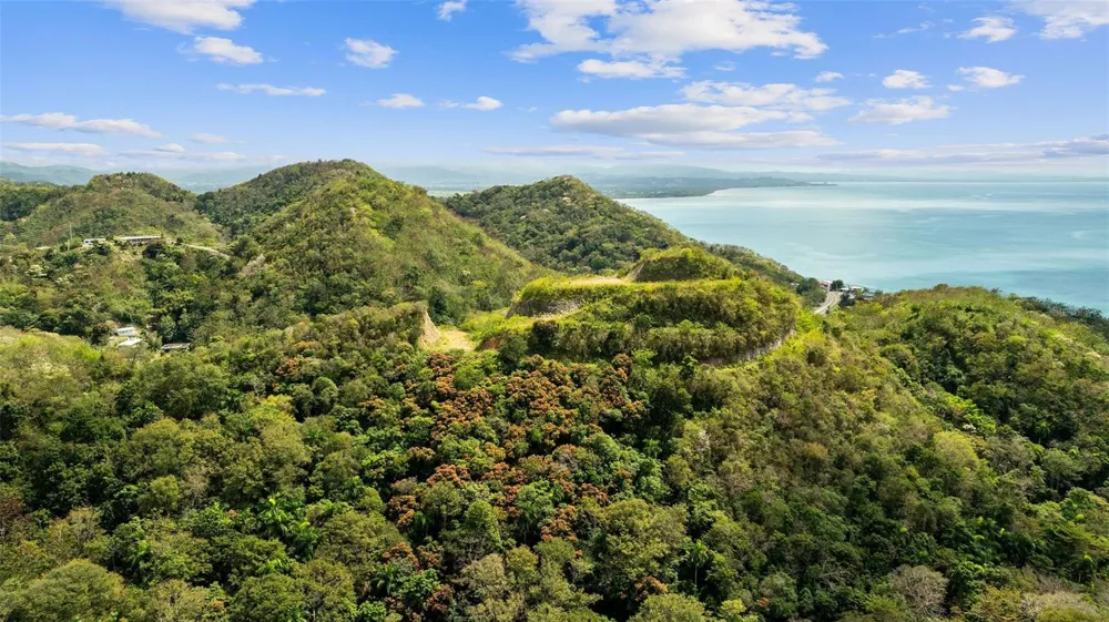 ROAD 115 Anasco, PR 00610