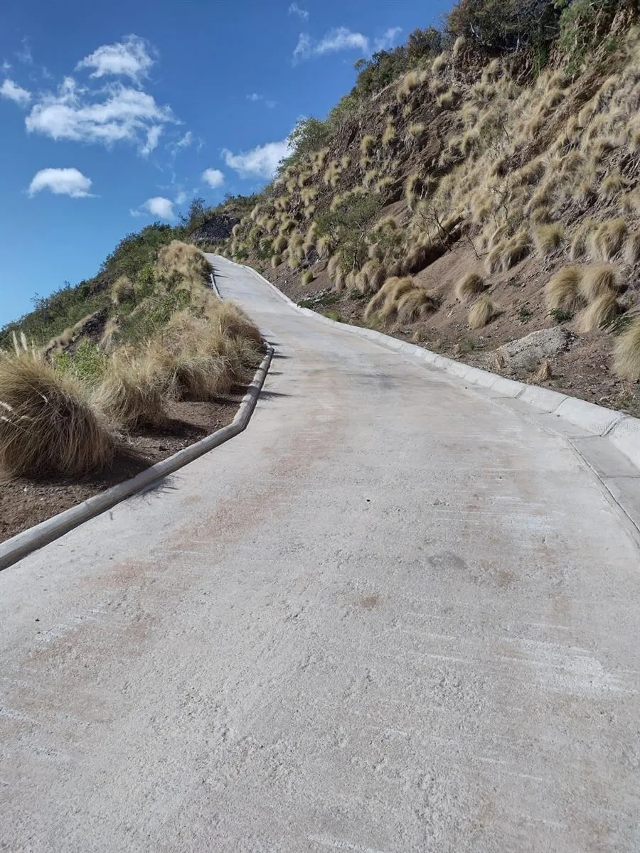 ROAD 115 Anasco, PR 00610