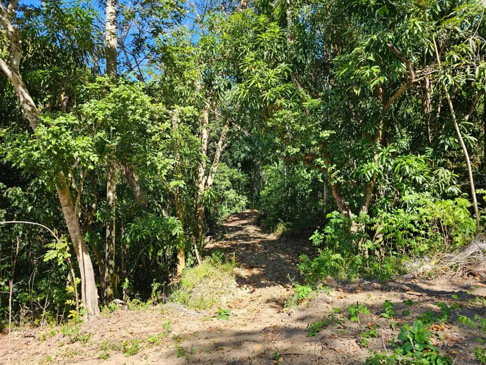 ROAD 115 Anasco, PR 00610