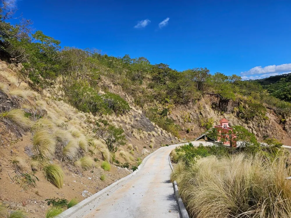 ROAD 115 Anasco, PR 00610