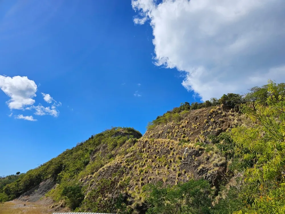 ROAD 115 Anasco, PR 00610
