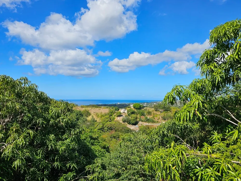 ROAD 115 Anasco, PR 00610
