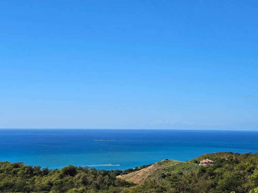 ROAD 115 Anasco, PR 00610
