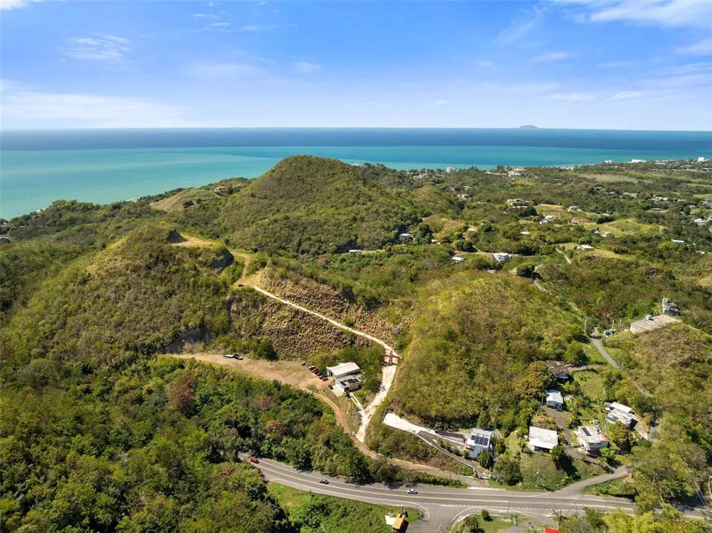 ROAD 115 Anasco, PR 00610