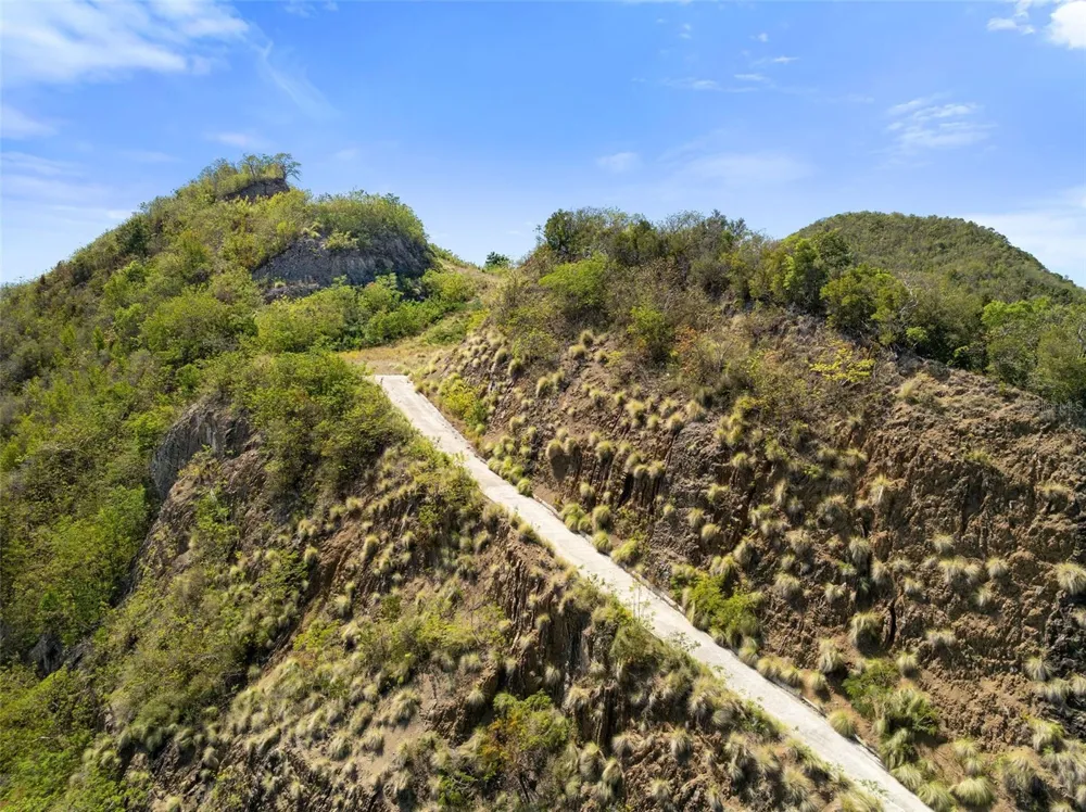 ROAD 115 Anasco, PR 00610