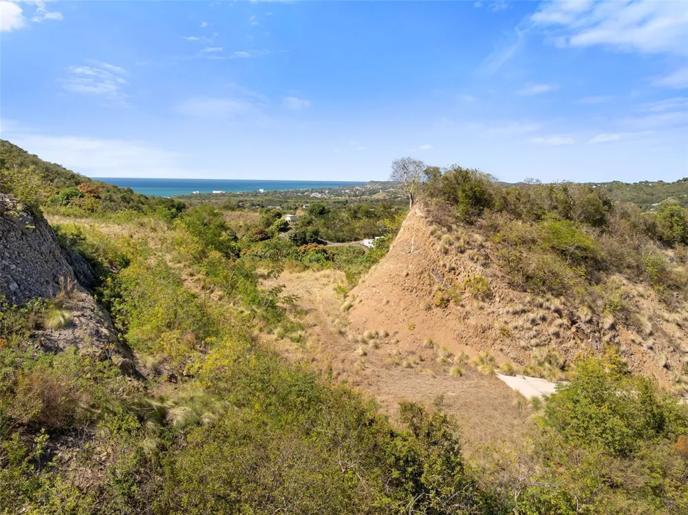 ROAD 115 Anasco, PR 00610
