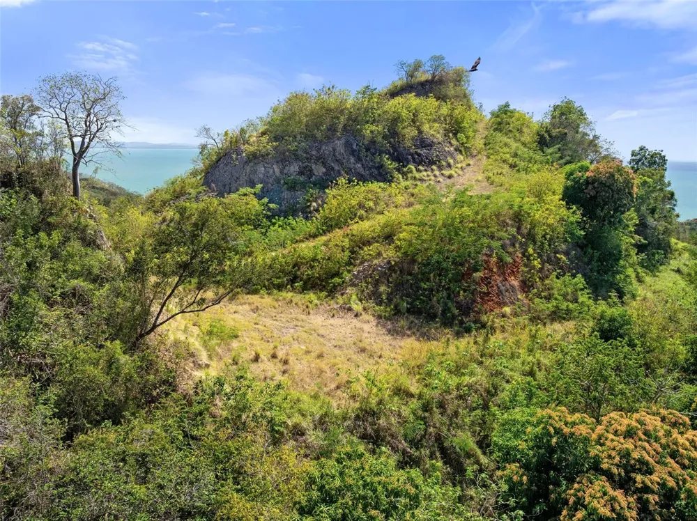 ROAD 115 Anasco, PR 00610