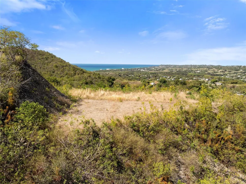 ROAD 115 Anasco, PR 00610