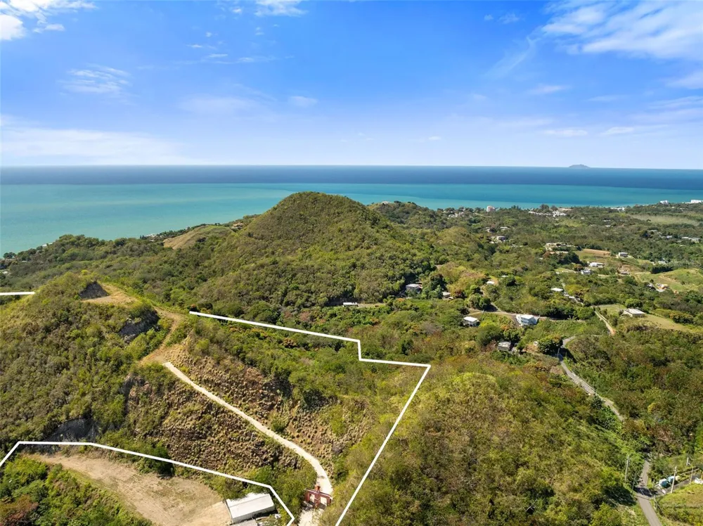 ROAD 115 Anasco, PR 00610