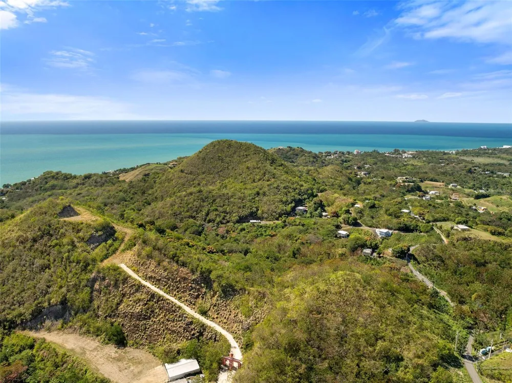 ROAD 115 Anasco, PR 00610