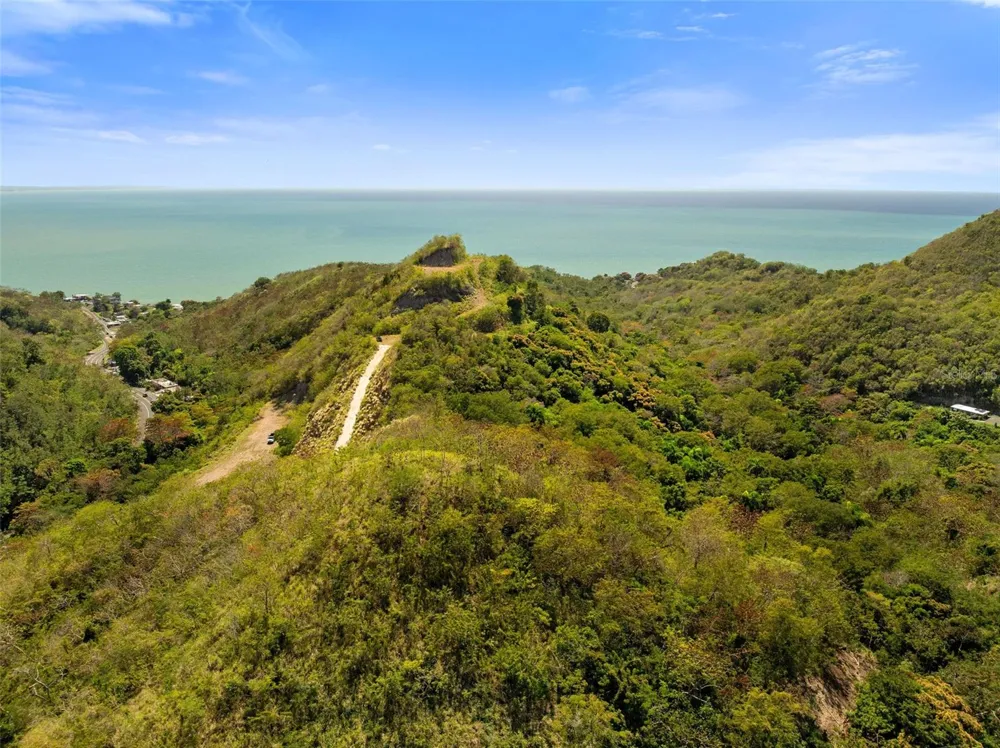 ROAD 115 Anasco, PR 00610
