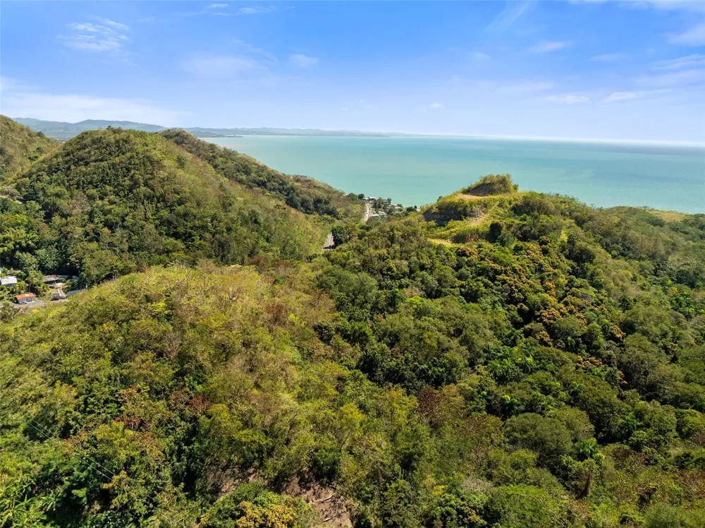 ROAD 115 Anasco, PR 00610