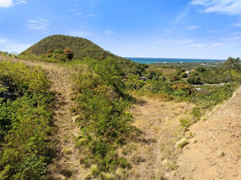 ROAD 115 Anasco, PR 00610