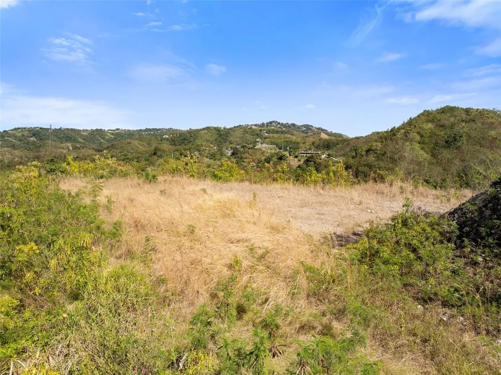ROAD 115 Anasco, PR 00610