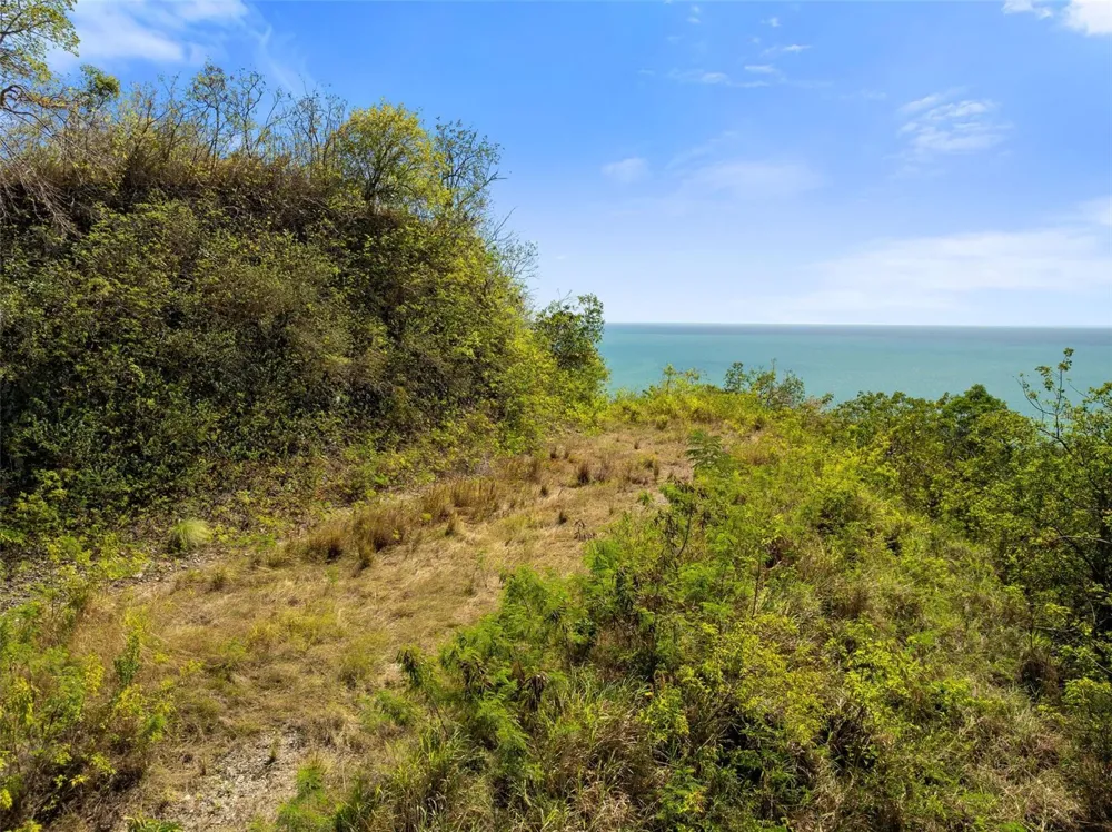 ROAD 115 Anasco, PR 00610