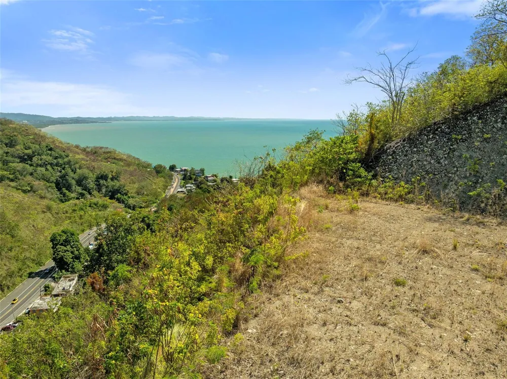 ROAD 115 Anasco, PR 00610